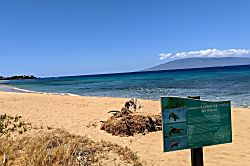 Honua Kai Hokulani 414 