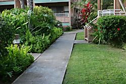 Kihei Bay Vista #C-106