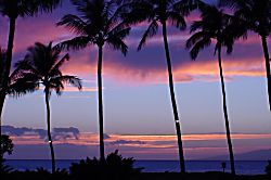 Waiohuli Beach Hale #113