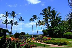 Waiohuli Beach Hale #113