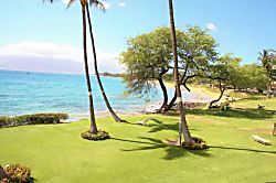 Royal Mauian 209