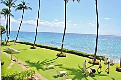 Royal Mauian 209