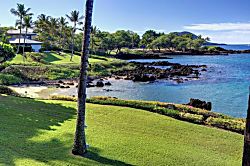 Makena Surf F-202