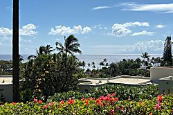 Palms at Wailea #1101