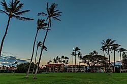 Leinaala Oceanfront #104