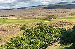 Waiulaula Ridge UH201