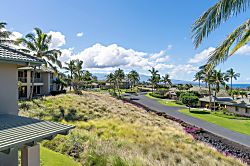 Waiulaula Ridge UH201