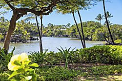 Mauna Lani Terrace J104