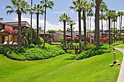 Wailea Elua 1403 - Property grounds