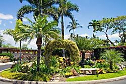 Wailea Elua 1403 - Property grounds