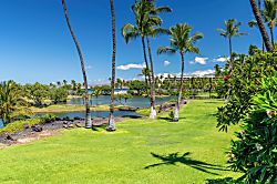 Mauna Lani Terrace J202