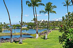 Mauna Lani Terrace J202