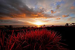 GMH at Keauhou Estates 9
