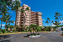 Maui Kai 204