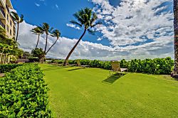 Kihei Beach Condo 303 - Property grounds