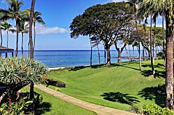 Wailea Elua 1204 - Property grounds