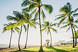 Cabana Waikiki 1BDR 2nd Floor C