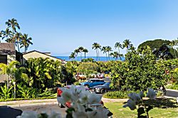 Wailea Elua 1503 - Property grounds