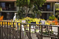 Waiohuli Beach Hale #127