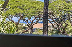 Maui Vista 2220 - View from property