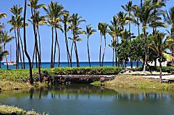 Mauna Lani Terrace E301 ME301