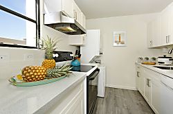 Waikiki Skytower #1803