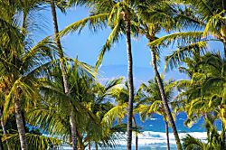 Mauna Lani Terrace A302