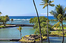 Mauna Lani Terrace A302