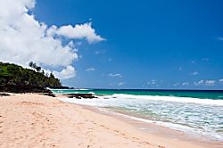 Kilauea Oceanfront Luxury Cottage