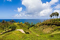 Kilauea Oceanfront Luxury Cottage
