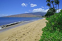Kihei Beach 307