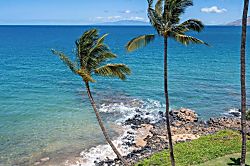 Kamaole Nalu 303