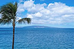 Kamaole Nalu 303