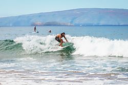 Palms at Wailea #1803
