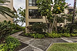 Surf and Racquet 1-206