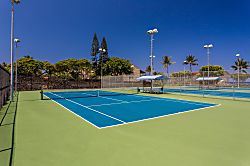 Surf and Racquet 1-206