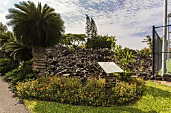 Surf and Racquet 1-206