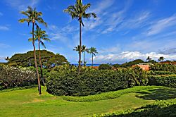 Kaanapali Plantation #52