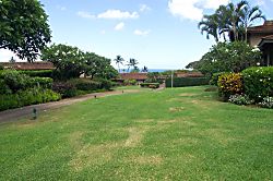 Kaanapali Plantation #52