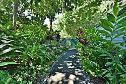 Kahana Outrigger Oceanfront Condo 3BD 