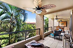 Kona Pacific D524  Kauhale