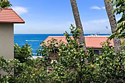 Kona Pacific D524  Kauhale