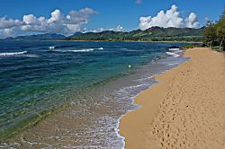 Islander on the Beach 246