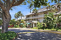 Islander on the Beach 246