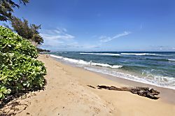 Islander on the Beach 246