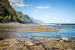 Waipouli Beach Resort Condo 2nd Floor