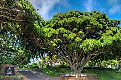 Kiahuna Plantation #153 (building 23)