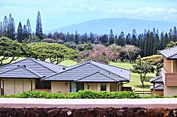 Kapalua Golf Villas 19P3
