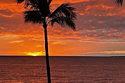 Alii Villas 227  Hale O Naia