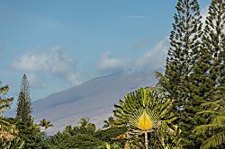 Palms at Wailea 2106